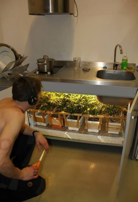 1604708_856807194334413_6431252849367346247_n